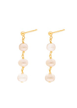 Load image into Gallery viewer, Adhara Earrings
