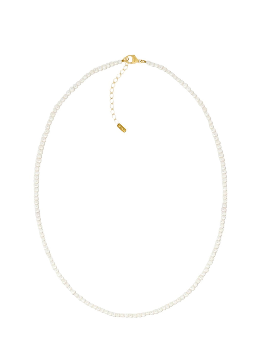Ollie Choker